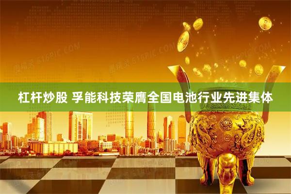 杠杆炒股 孚能科技荣膺全国电池行业先进集体
